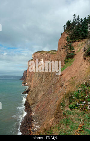 Una scogliera di Capo D'Or , Nova Scotia, Canada Foto Stock