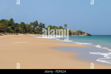 Lo straordinario paesaggio di La Perle spiaggia sabbiosa in Guadalupa isola, Basse Terre, territorio francese. Foto Stock