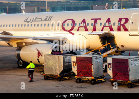 Il bagaglio viene caricata su un Qatar Airways, Hamad Aeroporto Internazionale di Doha, in Qatar Foto Stock