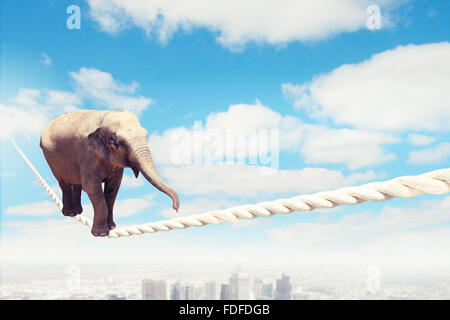 Immagine dell'elefante camminando sulla corda alta nel cielo Foto Stock