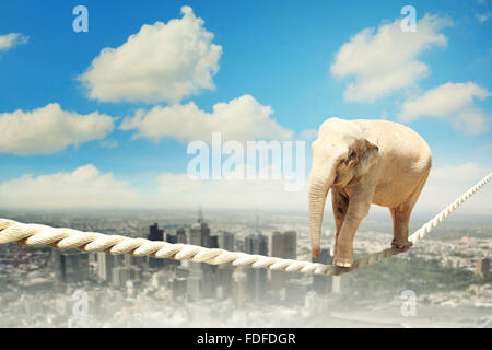 Immagine dell'elefante camminando sulla corda alta nel cielo Foto Stock