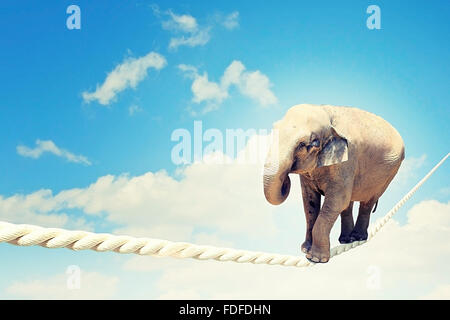 Immagine dell'elefante camminando sulla corda alta nel cielo Foto Stock