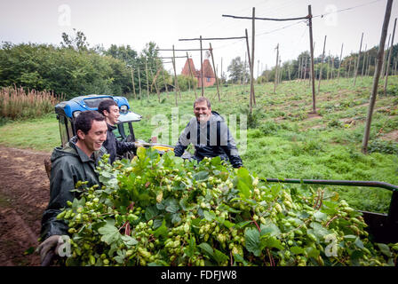 Hop-raccoglitori (l a r, Andrew Daw, Joshua Daw e Mark Green) l'ultimo giorno di prelievo della stagione, a Kitchenham Farm, Bodiam Foto Stock