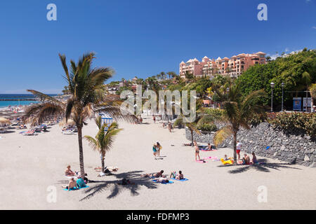 Playa del Duque beach, Costa Adeje, Tenerife, Isole Canarie, Spagna Foto Stock