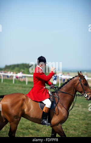 Huntsman in rosso, da punto a punto, Wantage. Foto Stock