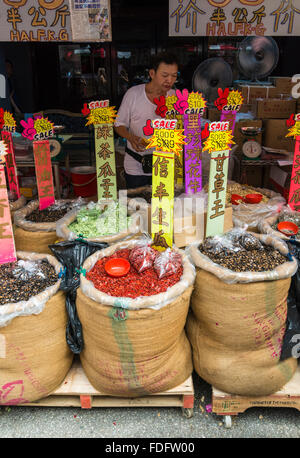 Festive produrre per la vendita presso il nuovo anno cinese 2016 a Chinatown Street Market, Chinatown, Singapore Foto Stock