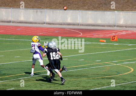 Junior gamma giocatore di football età 16 nel processo di recupero palla sulla sua spalla durante il gioco. St Paul Minnesota MN USA Foto Stock