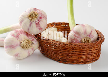 Cesto di aglio fresco su sfondo bianco Foto Stock
