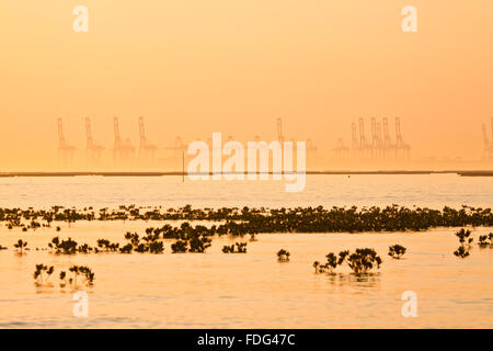 Nave industriale e la fabbrica stagliano al tramonto Foto Stock