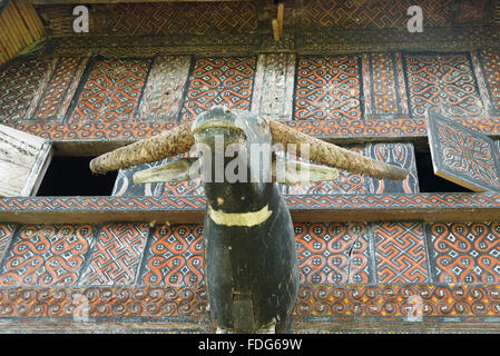 Intagliato testa di buffalo decorazione su Tongkonan casa tradizionale Buntu villaggio di Pune. Tana Toraja, Sulawesi. Indonesia Foto Stock