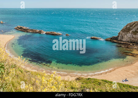 San Oswalds Bay e UOMO O'guerra Cove presso la porta di Durdle Cliff formazione nelle vicinanze Lulworth, Dorset, Sud Inghilterra, Regno Unito Foto Stock