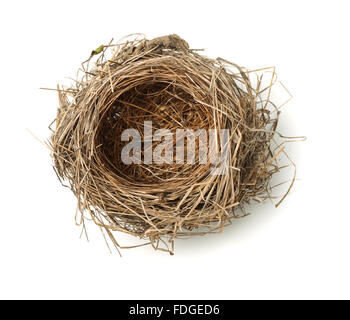 Vista superiore del vuoto bird nest isolato su bianco Foto Stock