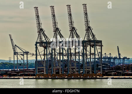 In attesa di gru Docks Southampton Regno Unito Foto Stock