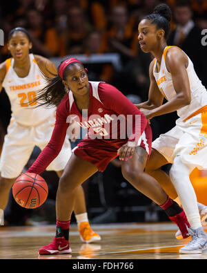 31 gennaio 2016: diamante DeShields #11 del Tennessee Lady Volunteers difende Luka Hayden #5 dell'Alabama Crimson Tide durante il NCAA pallacanestro tra la University of Tennessee Lady volontari e la University of Alabama Crimson Tide a Thompson Boling Arena a Knoxville TN Tim Gangloff/CSM Foto Stock