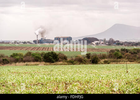 Raffineria di zucchero nella Lubombo, Swaziland, Africa. Foto Stock