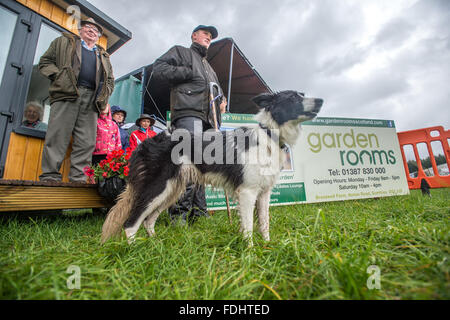 Border Collie e gli spettatori a guardare il International Sheep Dog prove a Moffat, Scotland, Regno Unito. Foto Stock