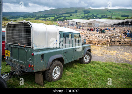 Landrover all'asta Hawes Mart per il mulo Gimmer Agnello mostra e vendita nello Yorkshire, Inghilterra, Regno Unito. Foto Stock