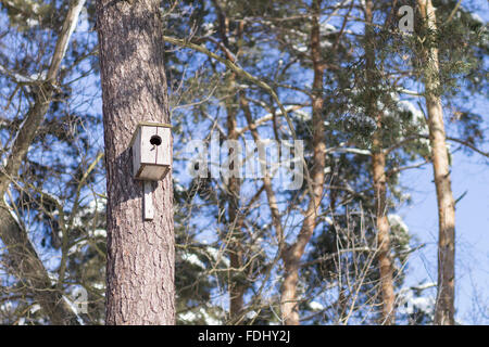 Casella di Nesting sul tronco dell'albero in winter park. Natura Uccelli sfondo con spazio di copia Foto Stock