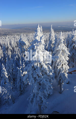 Inverno in Baviera, in Frankonia, regione di Fichtelgebirge, Germania Foto Stock