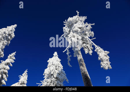 Inverno in Baviera, in Frankonia, regione di Fichtelgebirge, Germania Foto Stock