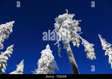 Inverno in Baviera, in Frankonia, regione di Fichtelgebirge, Germania Foto Stock