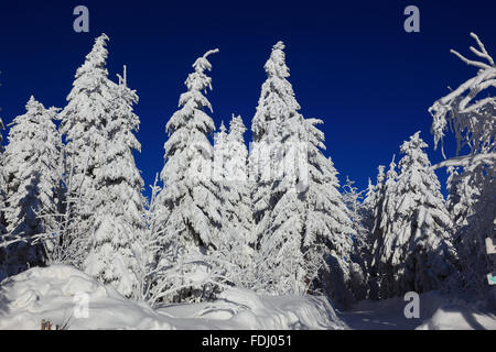 Inverno in Baviera, in Frankonia, regione di Fichtelgebirge, Germania Foto Stock