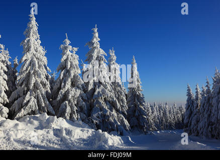 Inverno in Baviera, in Frankonia, regione di Fichtelgebirge, Germania Foto Stock