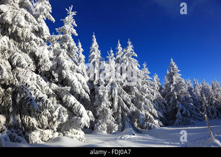 Inverno in Baviera, in Frankonia, regione di Fichtelgebirge, Germania Foto Stock