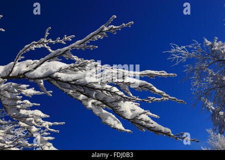 Inverno in Baviera, in Frankonia, regione di Fichtelgebirge, Germania Foto Stock