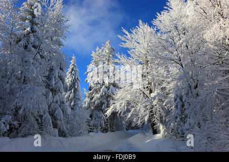 Inverno in Baviera, in Frankonia, regione di Fichtelgebirge, Germania Foto Stock