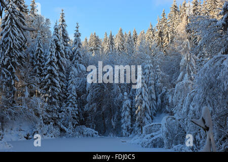 Inverno in Baviera, in Frankonia, regione di Fichtelgebirge, Germania Foto Stock