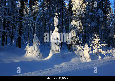 Inverno in Baviera, in Frankonia, regione di Fichtelgebirge, Germania Foto Stock