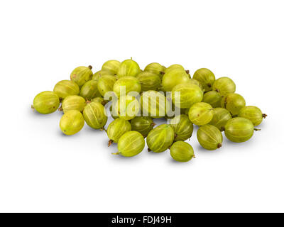 Ribes organici isolati su sfondo bianco Foto Stock