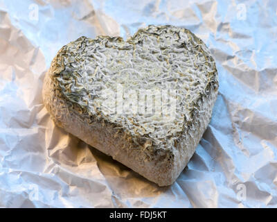 Fatti a mano il formaggio di capra - Francia. Foto Stock