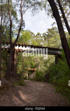 Un vecchio ponte ferroviario attraverso il Bibbulmun via in Gloucester National Park, Pemberton, Australia Foto Stock