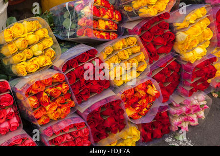 Fiori a Paloquemao agricoltori il mercato dei fiori a Bogotà, Colombia, America del Sud. Foto Stock