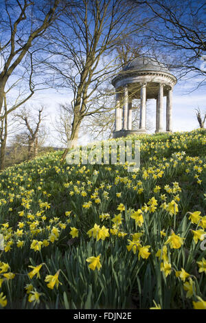 La Rotunda costruito nel 1766, e narcisi nel parco di Petworth House, West Sussex. La Rotunda ionica può essere stato progettato da Matthew Brettingham probabilmente ispirati Vanbrugh rotundas del. Foto Stock