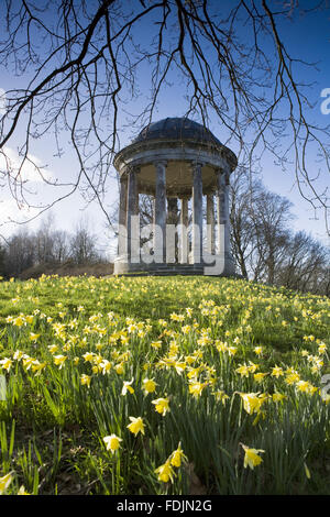 La Rotunda costruito nel 1766, e narcisi nel parco di Petworth House, West Sussex. La Rotunda ionica può essere stato progettato da Matthew Brettingham probabilmente ispirati Vanbrugh rotundas del. Foto Stock