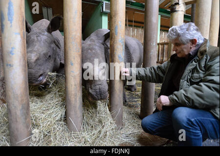 Pilsen, Repubblica Ceca. 27 gennaio, 2016. Il raro rinoceronte indiano chiamato vitello Maruska (centro), e la sua madre Manjula sono illustrati nel loro recinto in zoo di Pilsen, Repubblica Ceca, su Mercoledì, 27 gennaio 2016. Questo anno il giardino zoologico di Pilsen celebrerà 90 anni della sua fondazione. © Pavel Nemecek/CTK foto/Alamy Live News Foto Stock