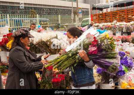 Fiori a Paloquemao agricoltori il mercato dei fiori a Bogotà, Colombia, America del Sud. Foto Stock