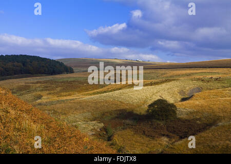 Una vista dal fieno Cluse verso Park Moor sulla Lyme Park Station Wagon, Cheshire, nel mese di ottobre. Foto Stock