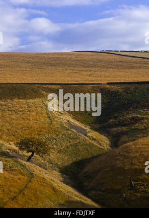 Vista dal fieno Cluse verso Park Moor sulla Lyme Park Station wagon, Cheshire, nel mese di ottobre. Foto Stock