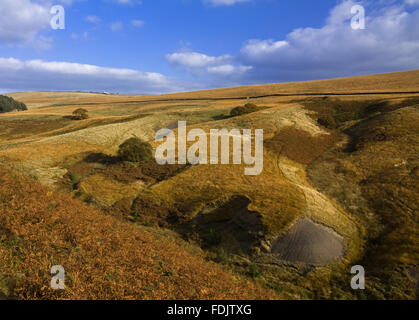 Vista dal fieno Cluse verso Park Moor sulla Lyme Park Station wagon, Cheshire, nel mese di ottobre. Foto Stock