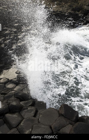 Onde che si infrangono sulle colonne di basalto a Giant's Causeway, Co. Antrim, Irlanda del Nord. Questo Sito del Patrimonio Mondiale sulla costa North Antrim è stato creato da eruzioni vulcaniche 60 milioni di anni fa. Foto Stock