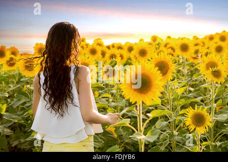 Giovane donna in piedi nel campo di girasoli Foto Stock