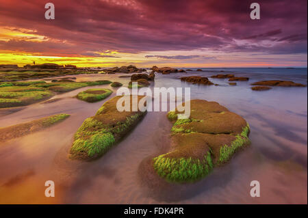 Coperte di muschio rocce al tramonto, Sabah Beach, Borneo Malaysia Foto Stock