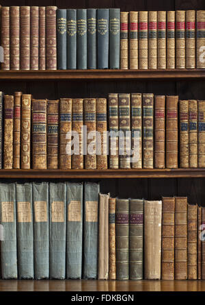 Dettaglio dei libri sugli scaffali della biblioteca a Penrhyn Castello, Gwynedd Foto Stock