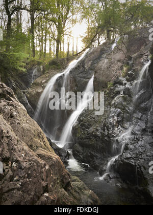 Rhaeadr Ddu cascata sul fiume Gamlan, Dolmelynllyn, Gwynedd, Galles. Foto Stock