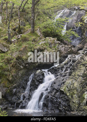 Rhaeadr Ddu cascata sul fiume Gamlan, Dolmelynllyn, Gwynedd, Galles. Foto Stock