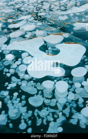 Congelate le bolle di gas intrappolato nel lago di ghiaccio. inverno, Canadian Rockies, Alberta, Canada Foto Stock